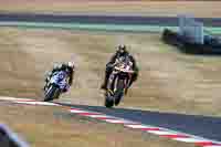 Advanced Group Multicolour Bikes